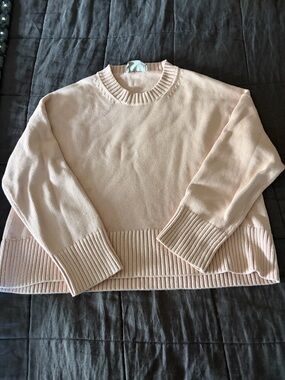 Everlane Crewneck Box Sweater in Light Blush